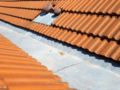 About Leaking Skylight Repair Pros Summer Shade, KY